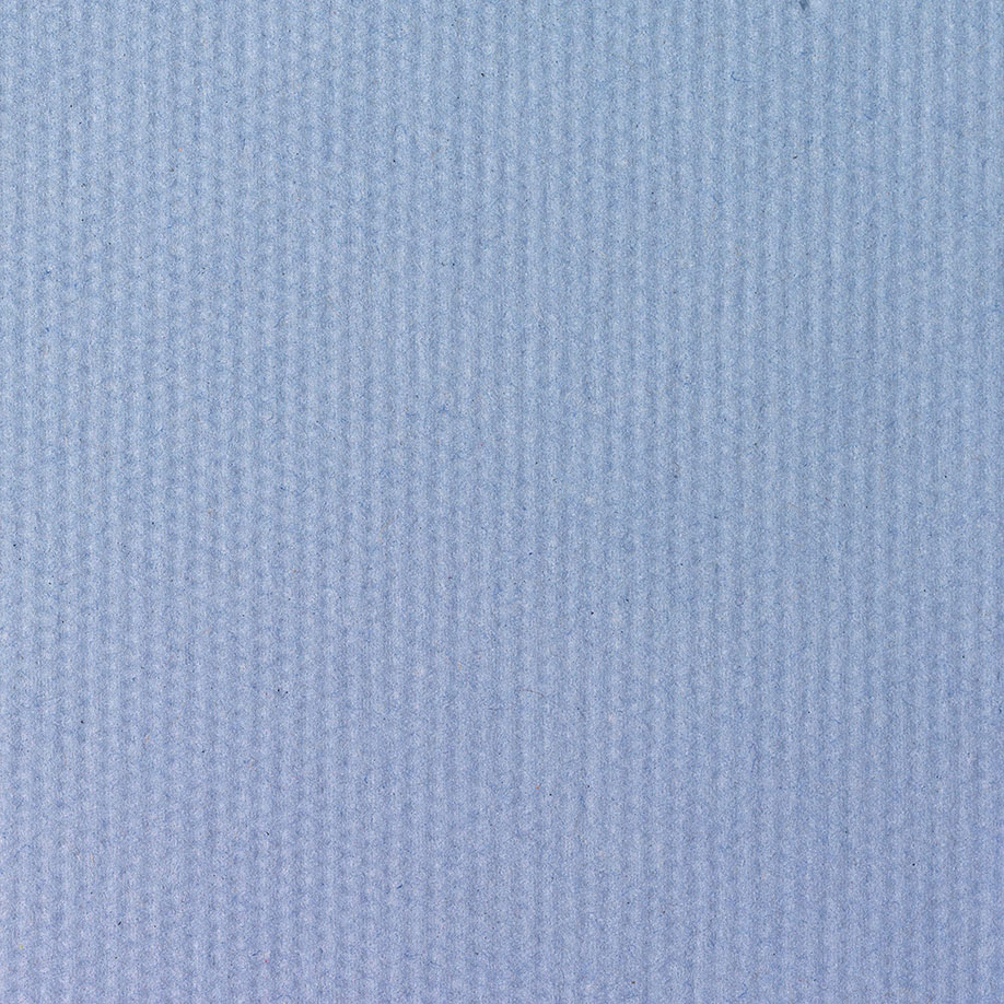 Scott Essential Ärzterollen, 2-lagig, blau, 50 x 34 cm (6 x 200 Bl.)