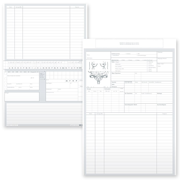 Karteikarten ALPHAsafe DIN A5 quer