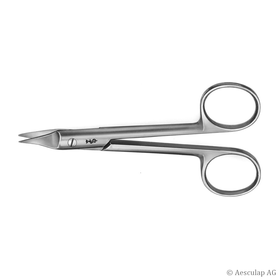 SYSTRUNK Nagelspaltzange,130 mm, gerade, spitz/spitz