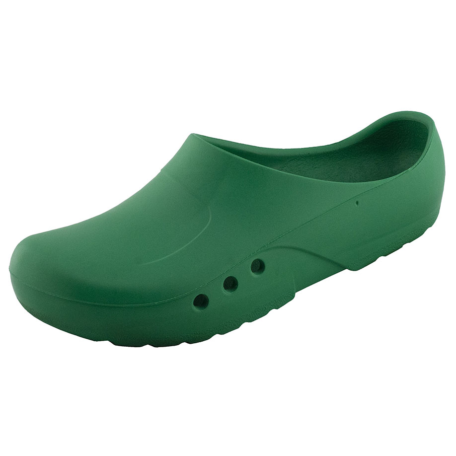 antist. ChiroClogs Economy ohne