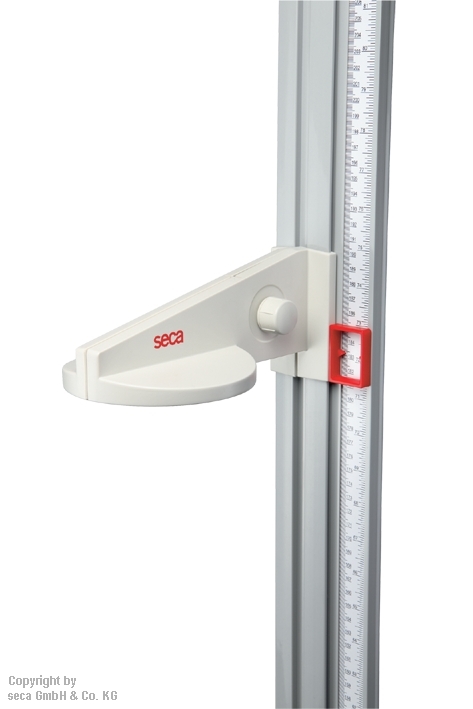 mechanischer Messstab seca 216