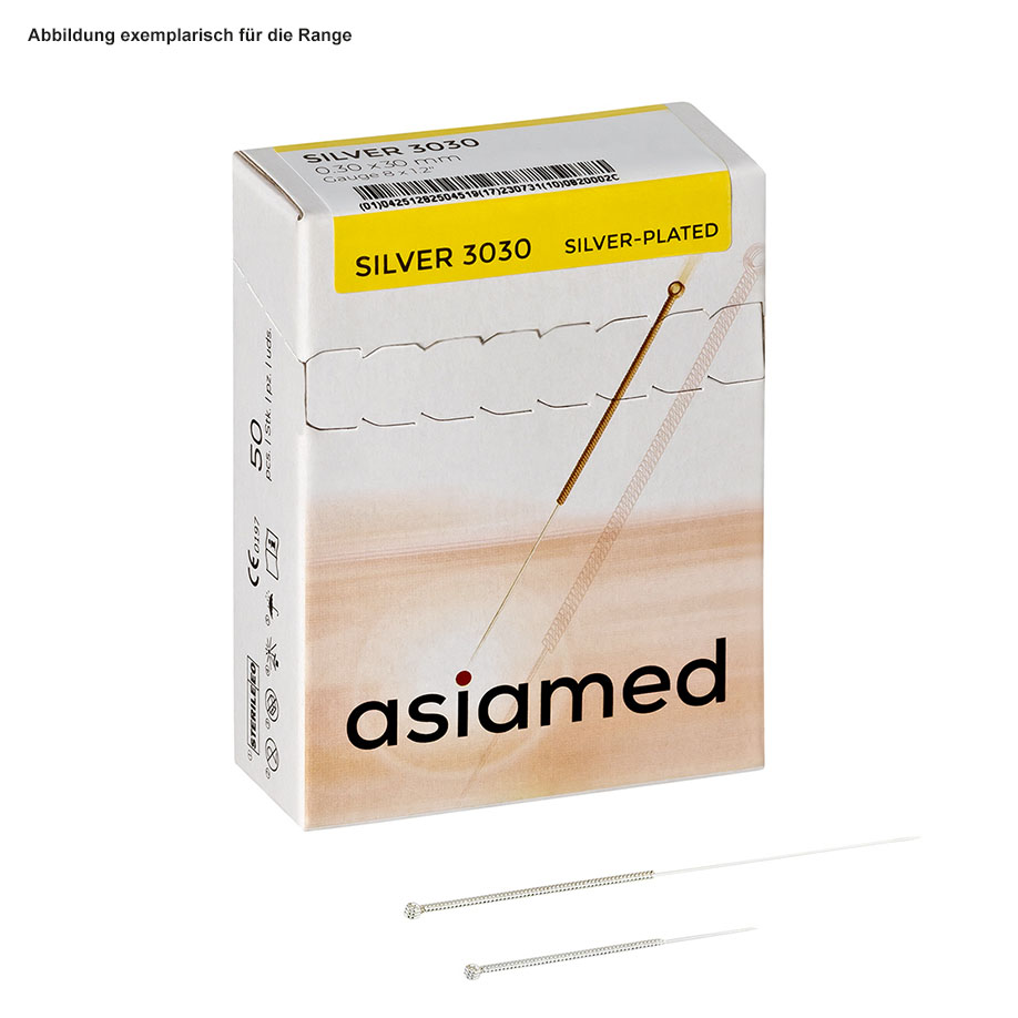 Silber Akupunkturnadeln