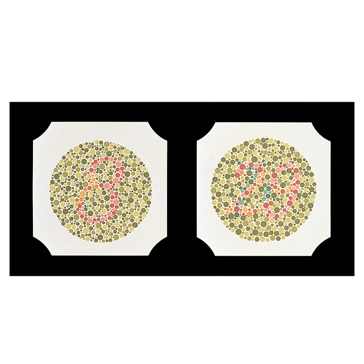 Ishihara Farbtafeln, Buchformat,