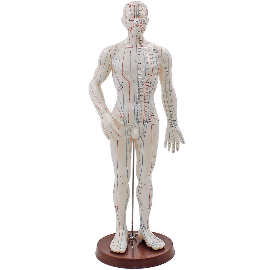 Akupunkturmodell Mann