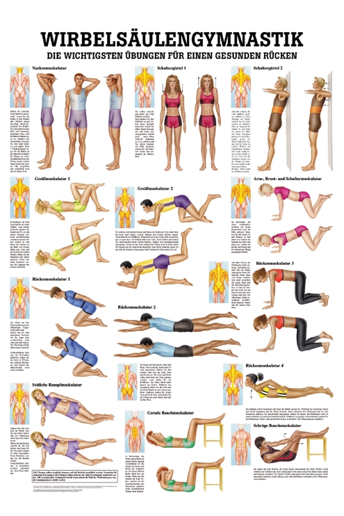 anat. Lehrtafel: Wirbelsäulengymnastik 70 x 100 cm, Papier