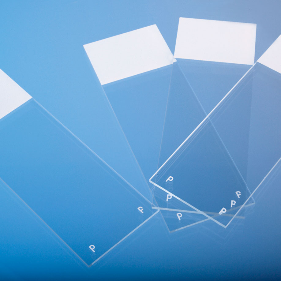 Objektträger Polysine