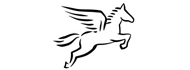 Pegasus Pro GmbH