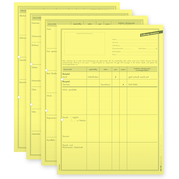 Ernährungsanamnese DIN A3