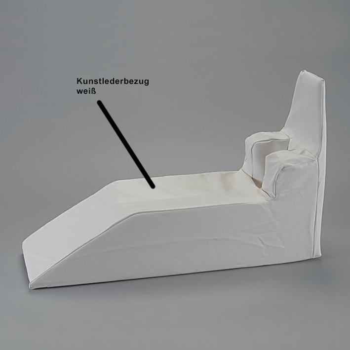 Kunstlederbezug zu den Hans Schienen,