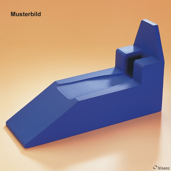 Beinhochlagerungsschiene 1 ohne Bezug,