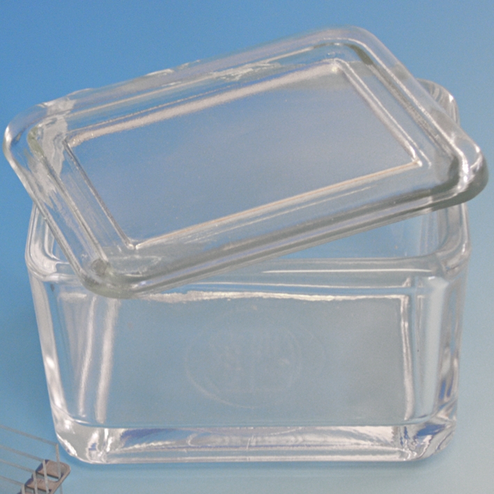 Glaskasten mit Deckel allein