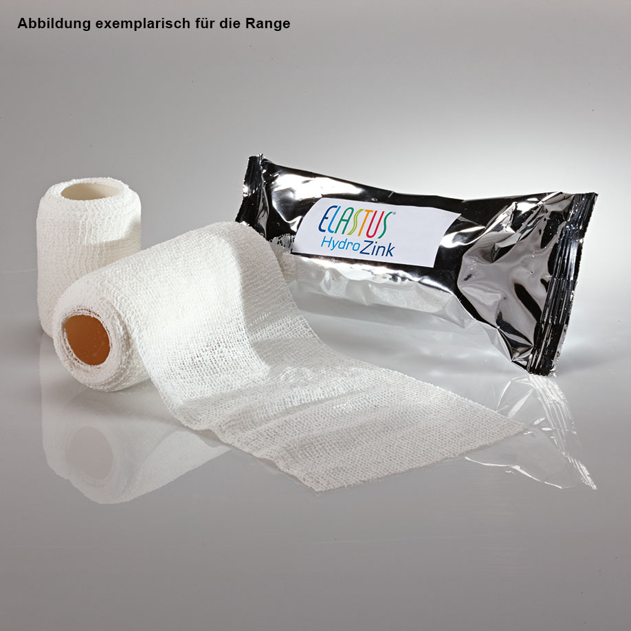 ELASTUS-HydroZink Stütz- und Entlastungsbinden 10 cm x 5 m (10 Stck.)