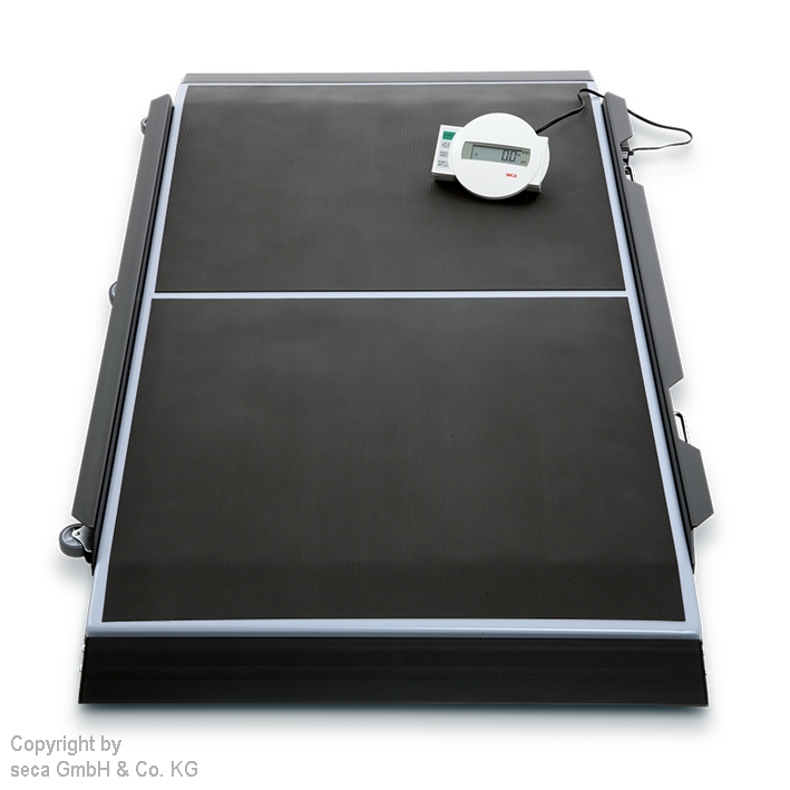 integrationsfähige Plattformwaage