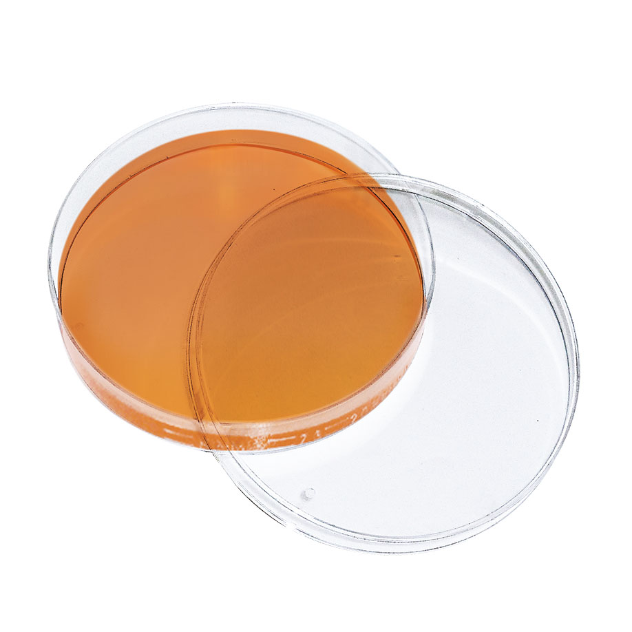 Dermatophyten-Selektivagar (Taplin)