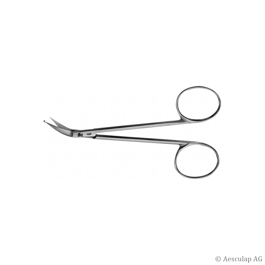 Speichelgangschere PERWITZSCHKY