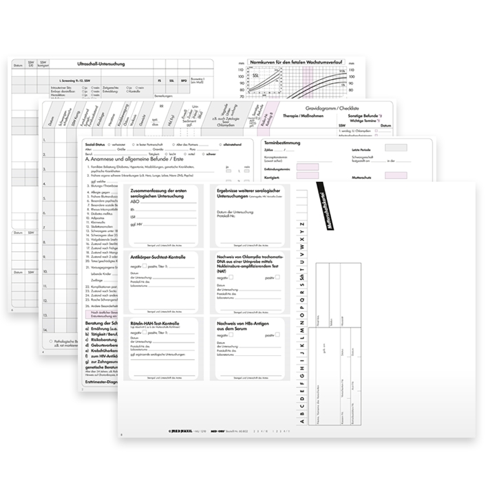 Mutterschaftskarteikarten (250 Stck.)