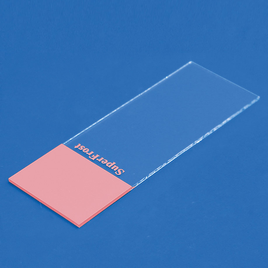 Objektträger SuperFrost rosa