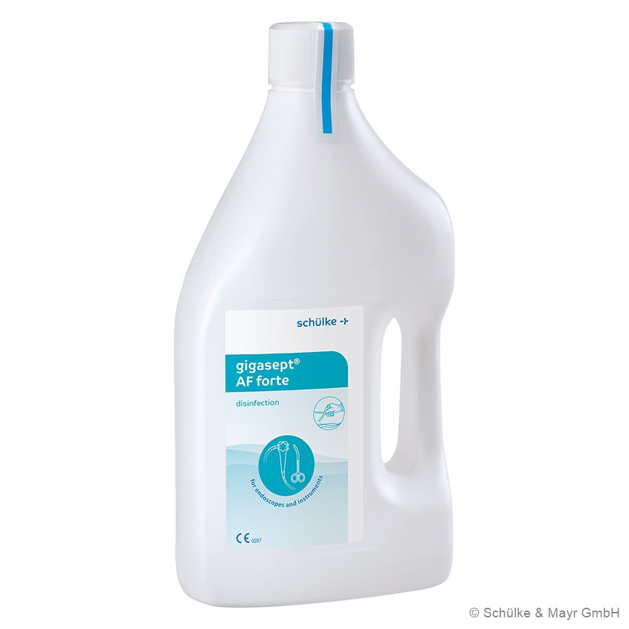gigasept AF forte-INT- 2 Ltr.