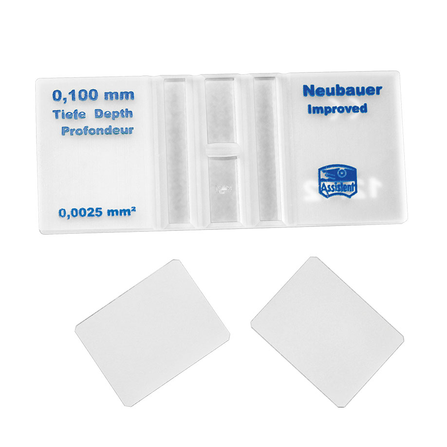 Assistent Zählkammer nach Neubauer