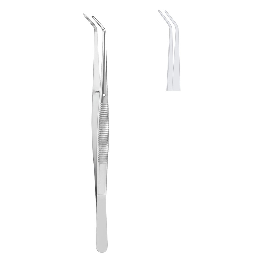 LONDON-COLLEGE Zahnpinzette Nr. 5
